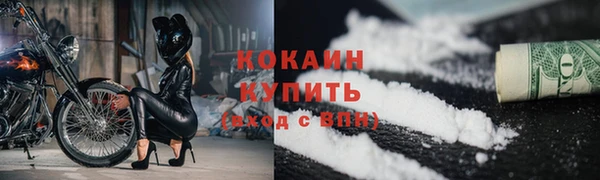 индика Магас