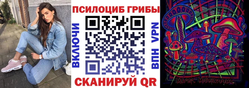 Псилоцибиновые грибы Psilocybine cubensis  Октябрьск 